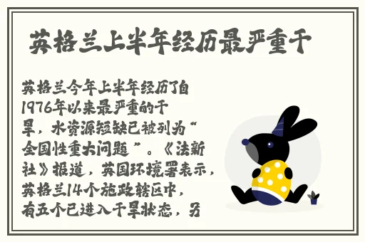 7x7x7x7x任意槽2008